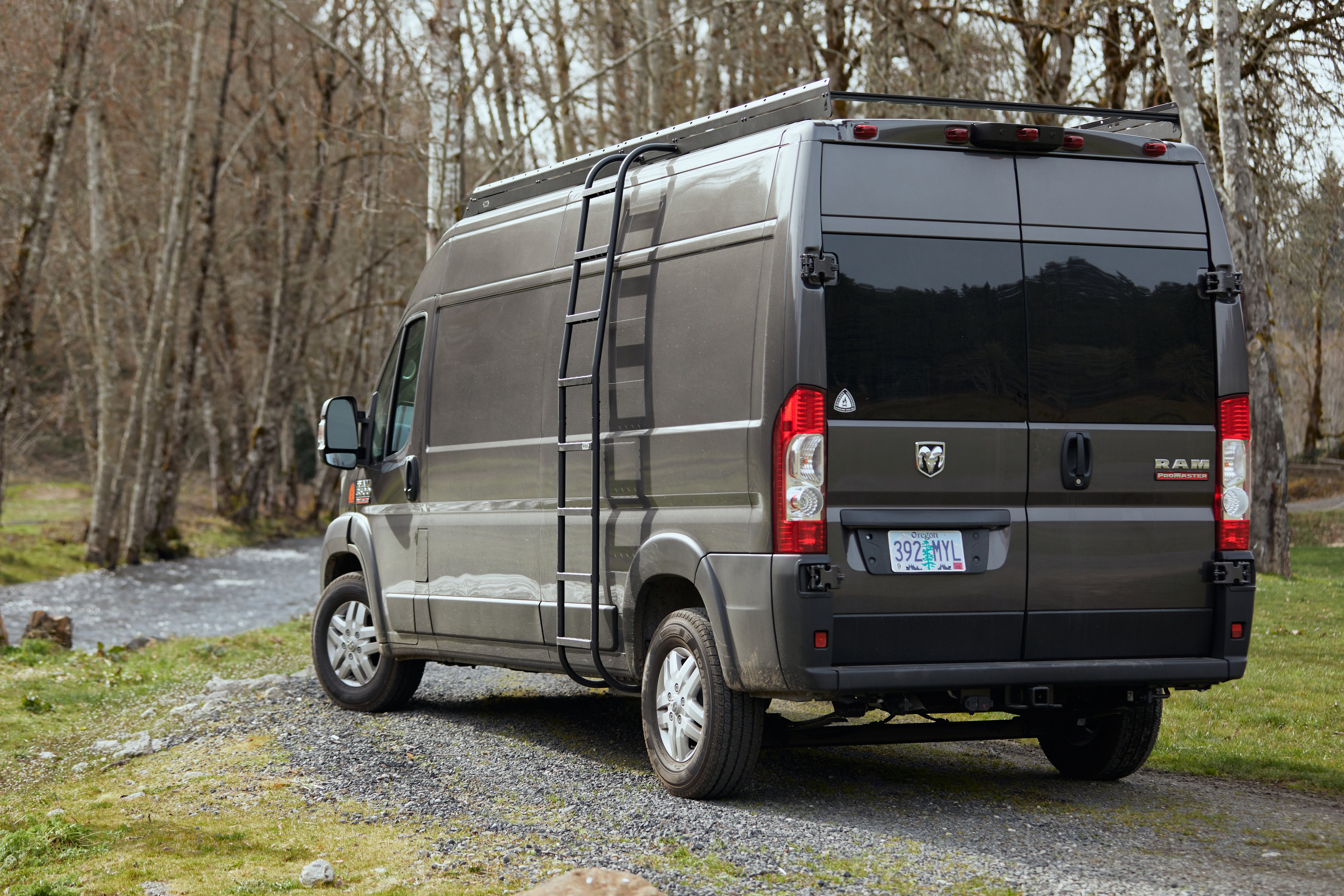 Promaster Van Side Ladder