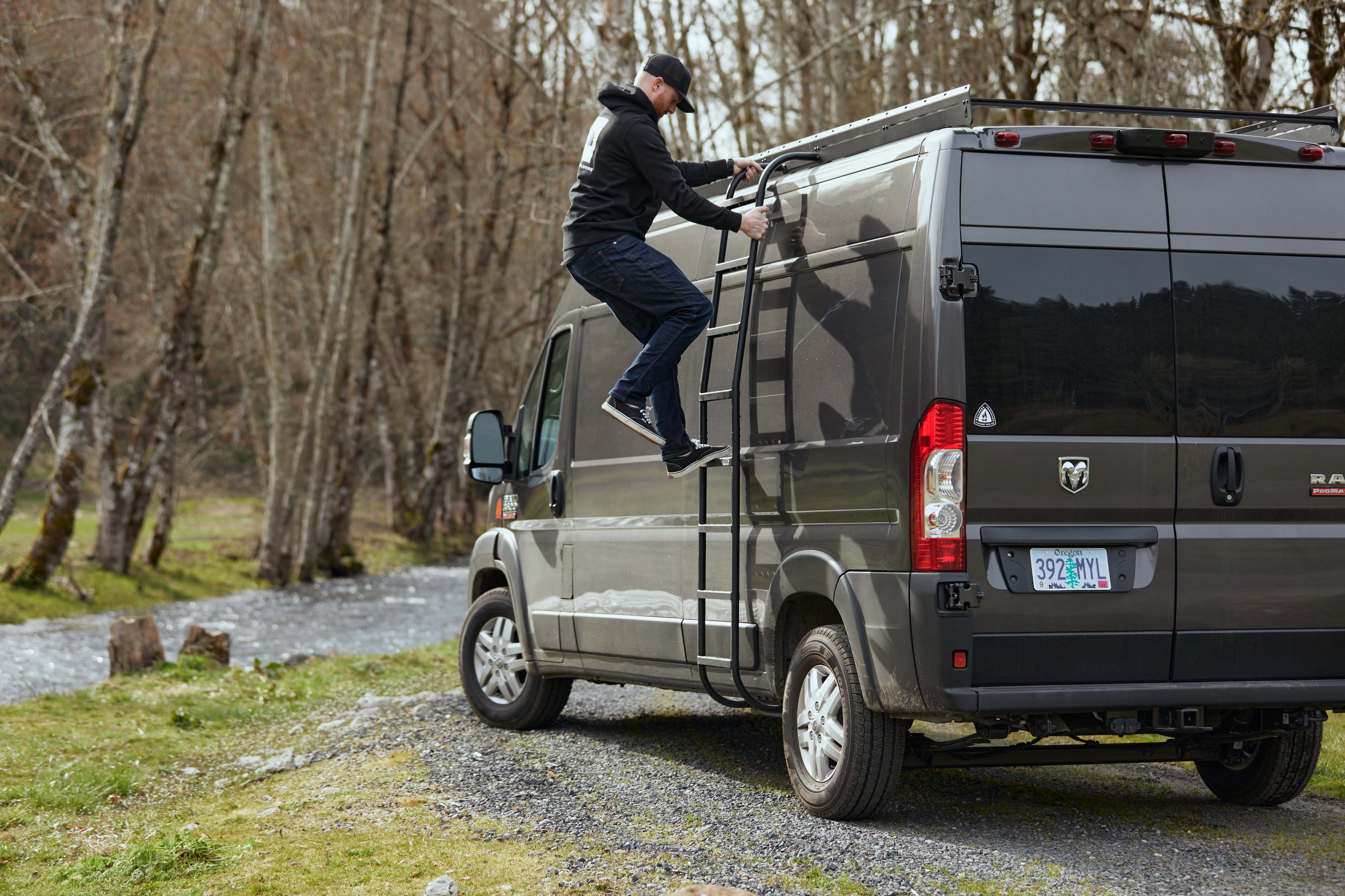 Promaster Van Side Ladder